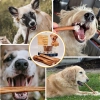 Galeria Bully Stick M 3 szt. 8
