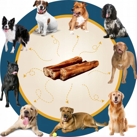 Galeria Bully Stick M 3 szt. 3
