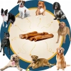 Galeria Bully Stick M 5 szt. 3