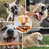 Galeria Bully Stick M 5 szt. 8