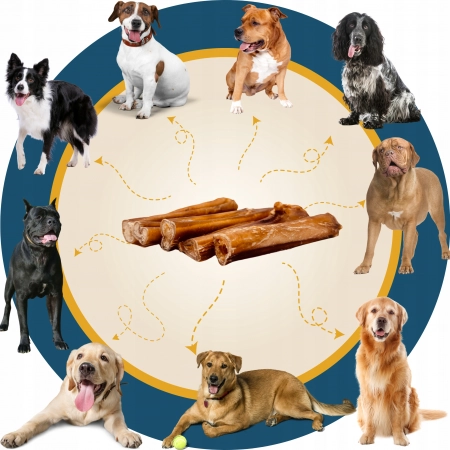 Galeria Bully Stick M 5 szt. 3