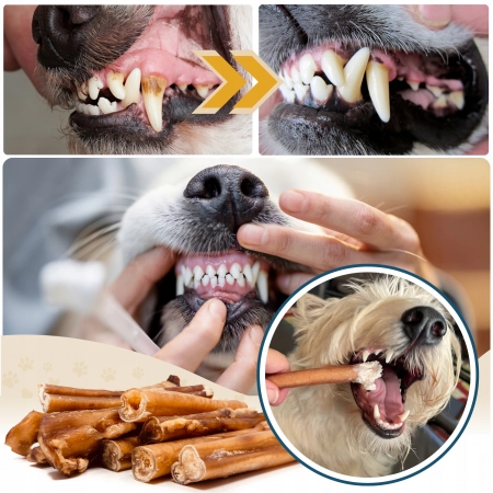 Galeria Bully Stick M 5 szt. 7