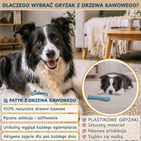 Galeria CW-L1 8