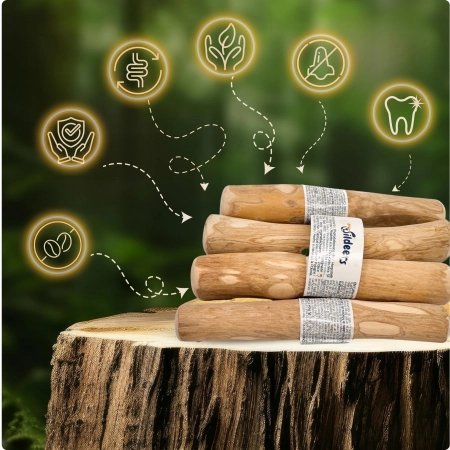 Galeria CW-S1 5
