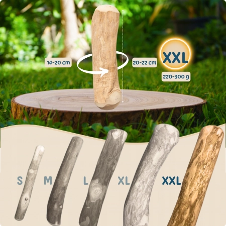 Galeria CW-XXL2 3