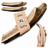 Galeria Poroże Jelenia SOFT XL 1