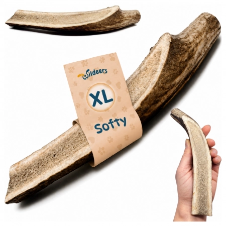 Wildeers Poroże Jelenia Soft XL, 19-23 cm, 1 szt.