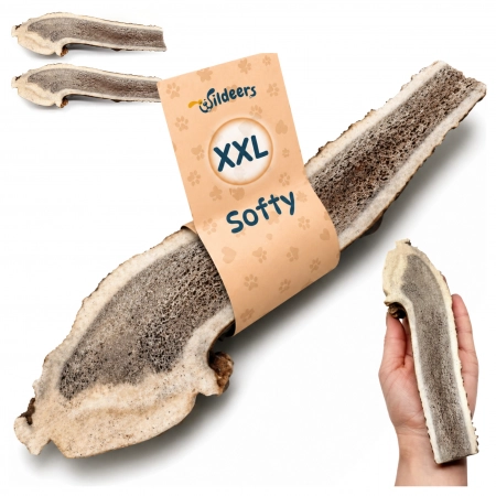 Galeria Poroże Jelenia SOFT XXL 1