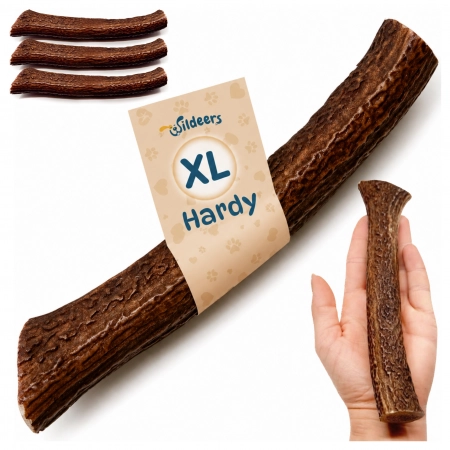 Galeria Poroże Jelenia HARD XL 2