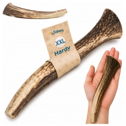 Wildeers Poroże Jelenia Hard XXL, 19-21 cm, 1 szt.