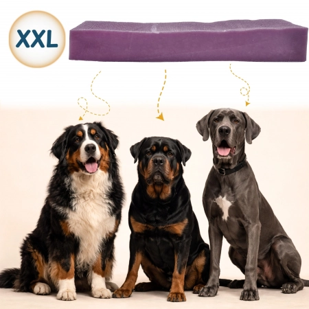 Galeria HYC-XXL1-J 15