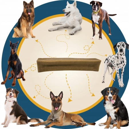 Galeria produktu 7