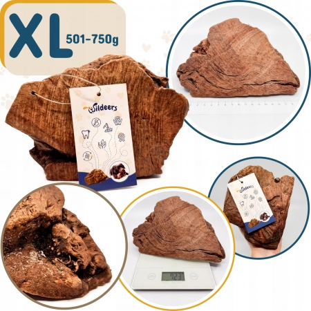 Galeria Korzeń Wrzośca XL 6