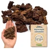 Wildeers Mięsne Kąski z Porożem, Dziczyzna, Doypack 100 g